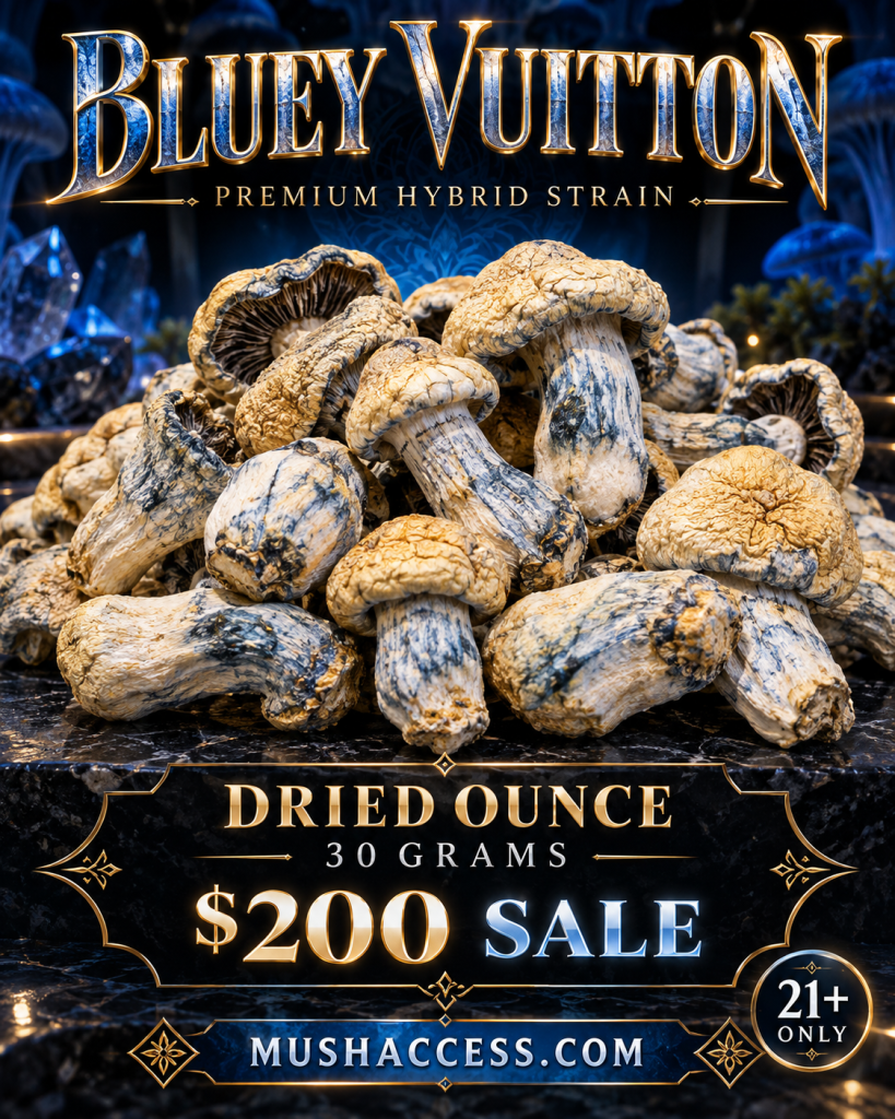 Dried Bluey Vuitton Ounce (30 Grams)