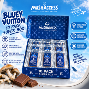 Bluey Vuitton (40 Gram) Chocolate Bars - 10 Pack