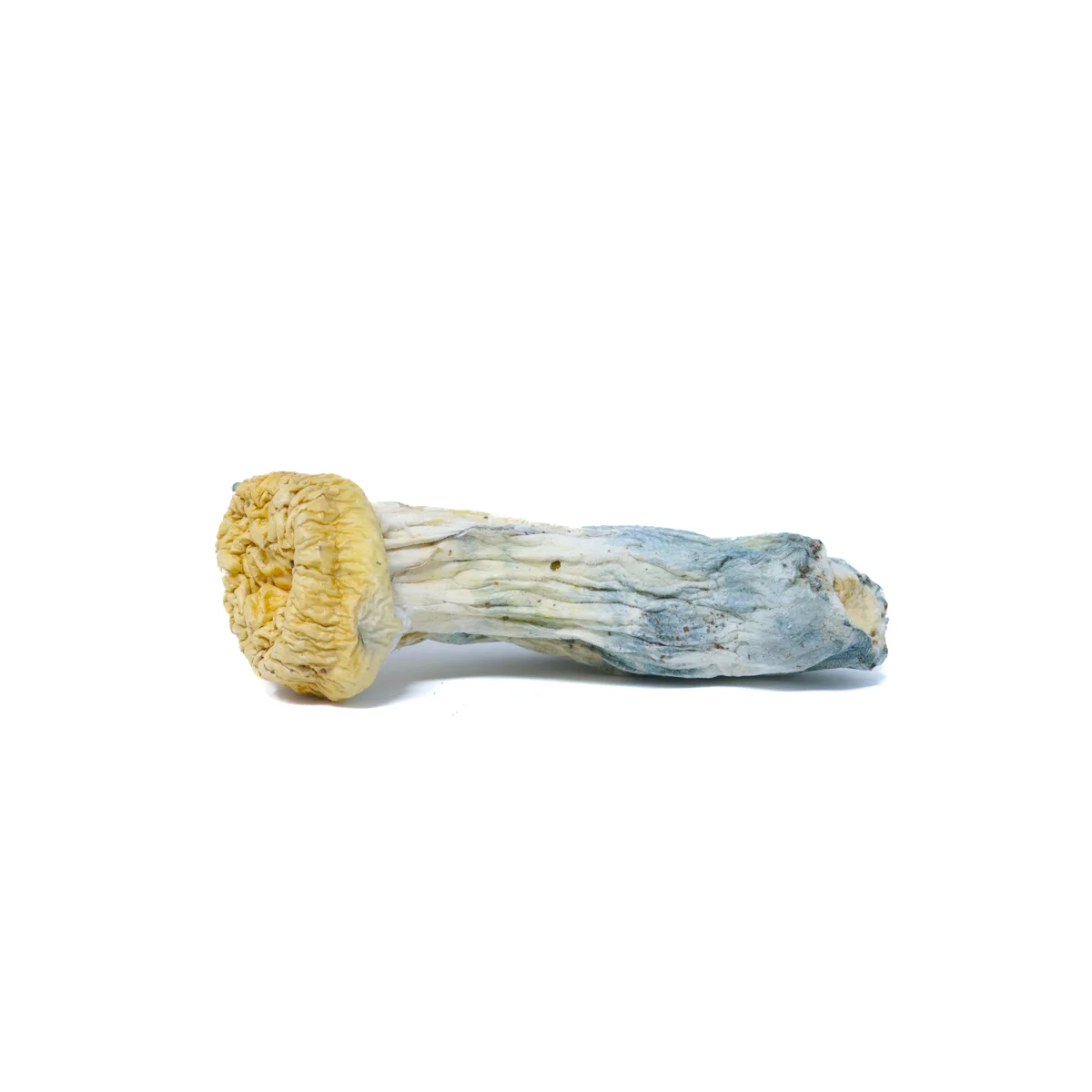 Dried Bluey Vuitton 1/8th (4 Grams) - Image 2