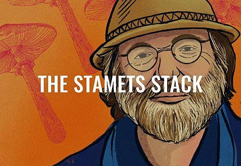 The Stamets Stack: A Modern Approach to Mushroom Microdosing