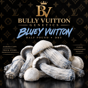 Half Pound Super Pack  | Bluey Vuitton (8 oz. Dry)