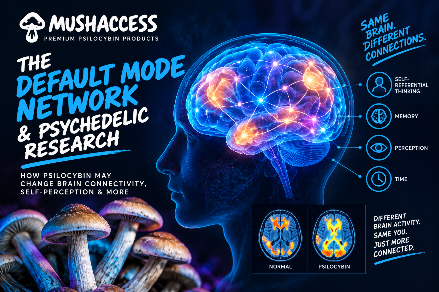 The Default Mode Network & Psychedelic Research