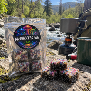 Bluey Vuitton Mushroom Gummies – 4-Pack | 4 Grams Active + 8 Functional Mushrooms - Image 3